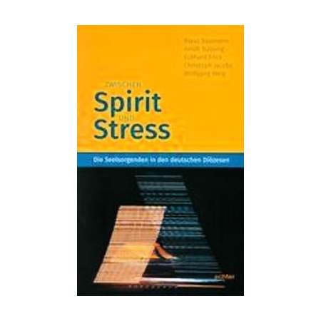 Zwischen Spirit und Stress