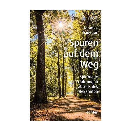 Spuren auf dem Weg